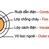 Cáp chống cháy dẹt cách điện XLPE - 600V