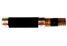 Cáp điều khiển có bằng đồng chống nhiễu, cách điện và vỏ bọc PVC không chì - 600V