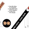 Cáp đồng 2 ruột bọc cách điện XLPE - CXV 2x